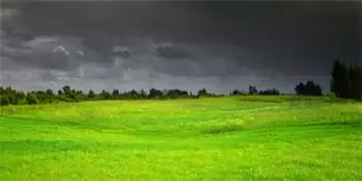 Automatic weather alerts