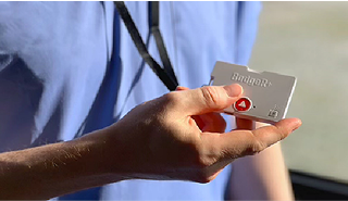 Staff and Executive Protection