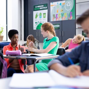 K-12 Schools